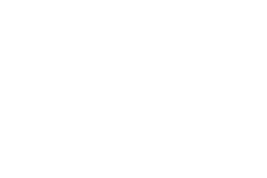 nestle_w